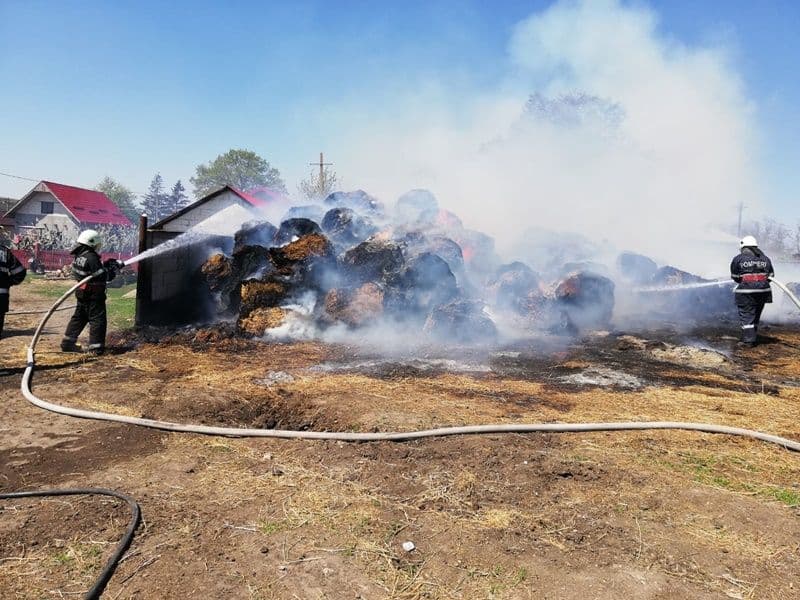 incendiu cotusca 05