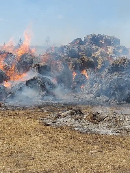 incendiu cotusca 15