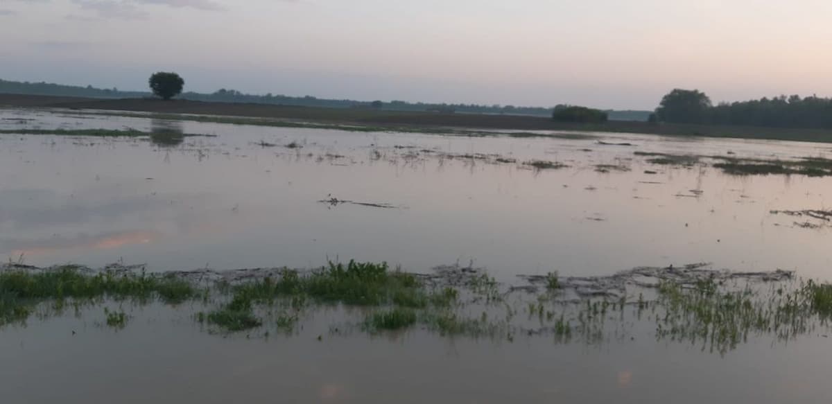 inundatii 04