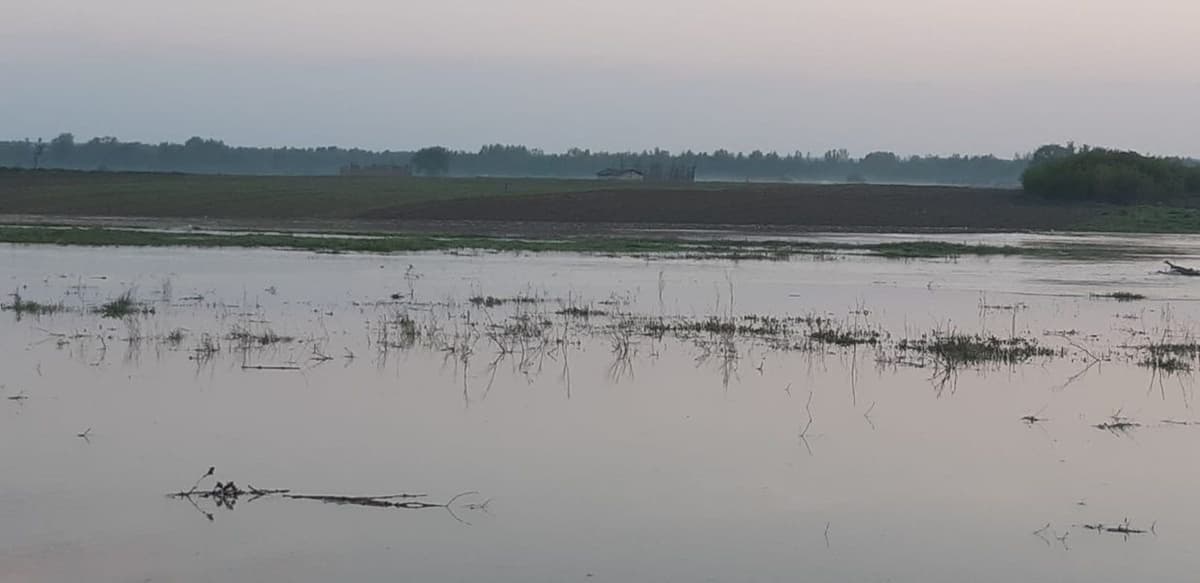 inundatii 05