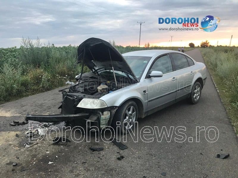 Accident Loturi Enescu_15