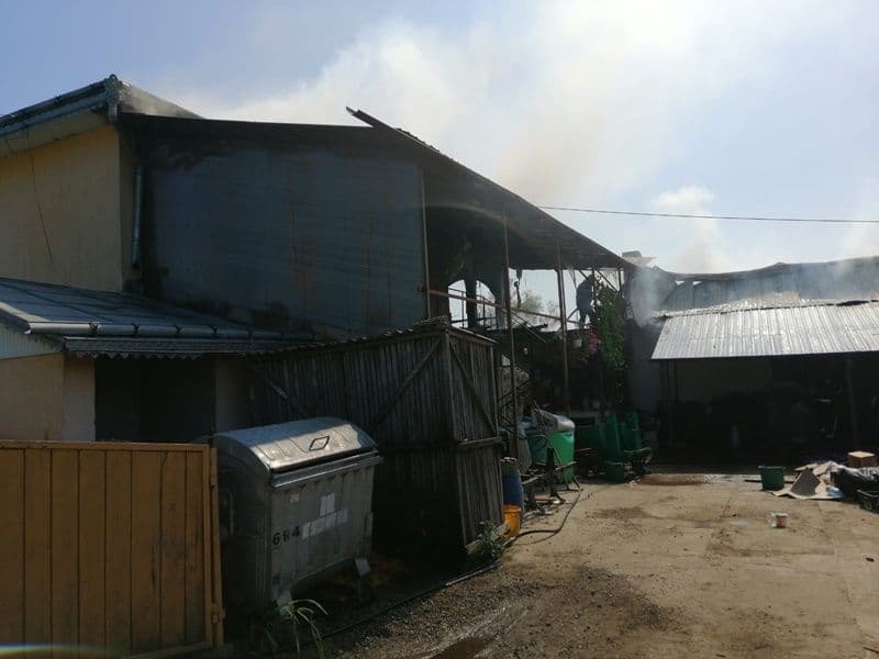 incendiu Hiliseu 11