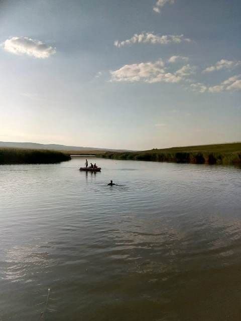 Barbat inecat_2