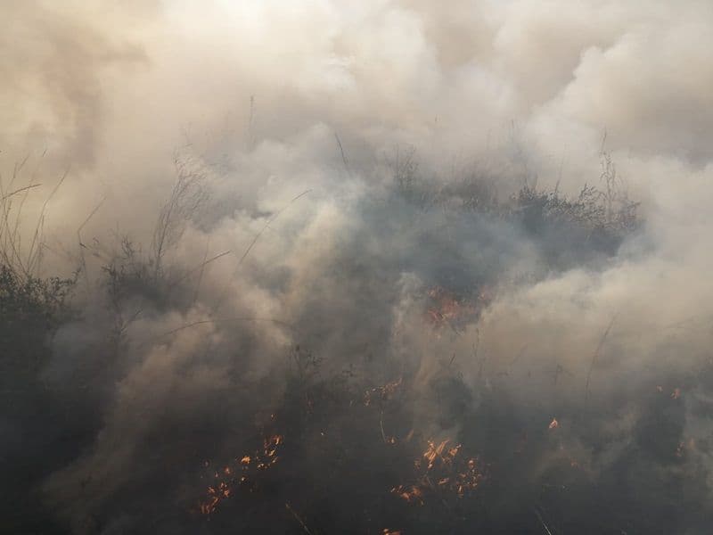 Incendiu Vaculesti_010