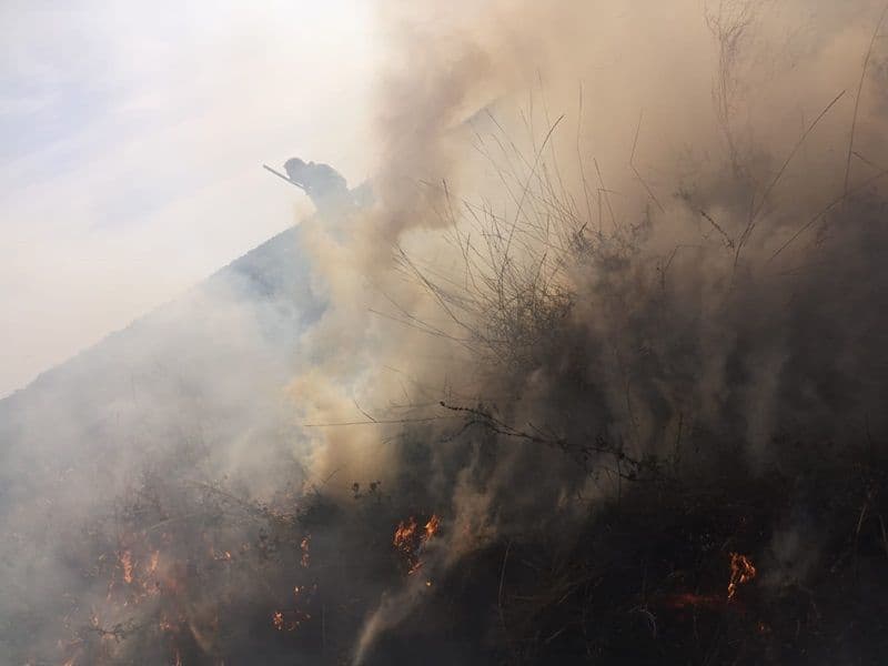 Incendiu Vaculesti_011
