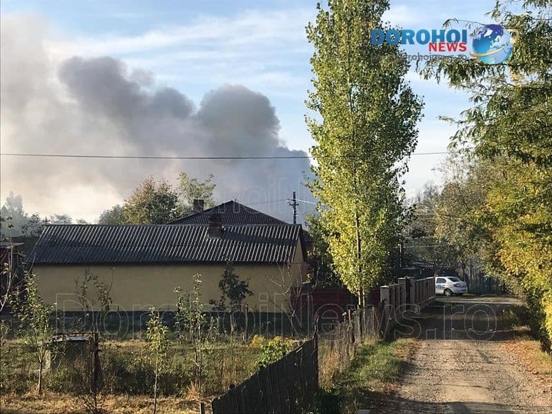 Incendiu case Dorohoi_01