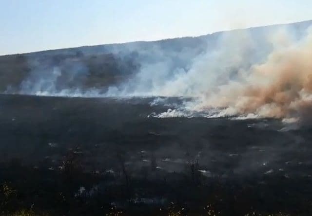 Incendiu vegetatie_2