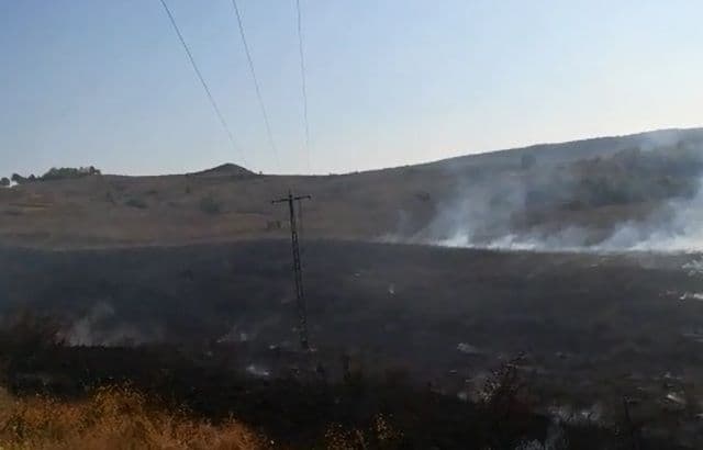 Incendiu vegetatie_3