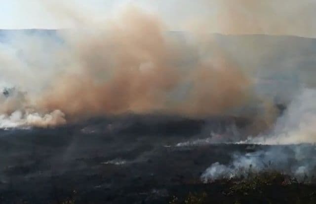 Incendiu vegetatie_4