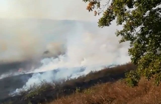 Incendiu vegetatie_5