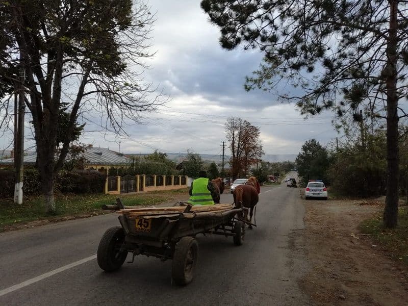 acctiune carutasi 01