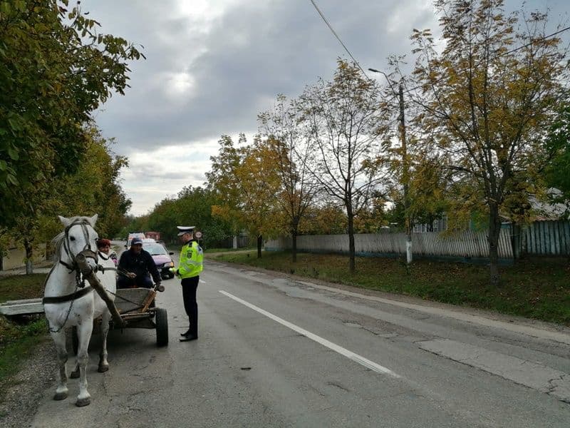 acctiune carutasi 04