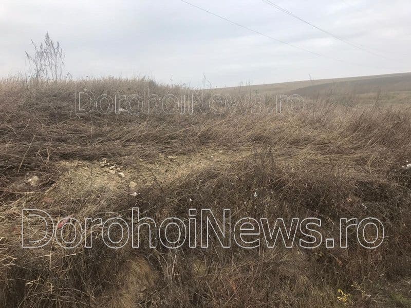 Accident Dorohoi_Dumeni_008
