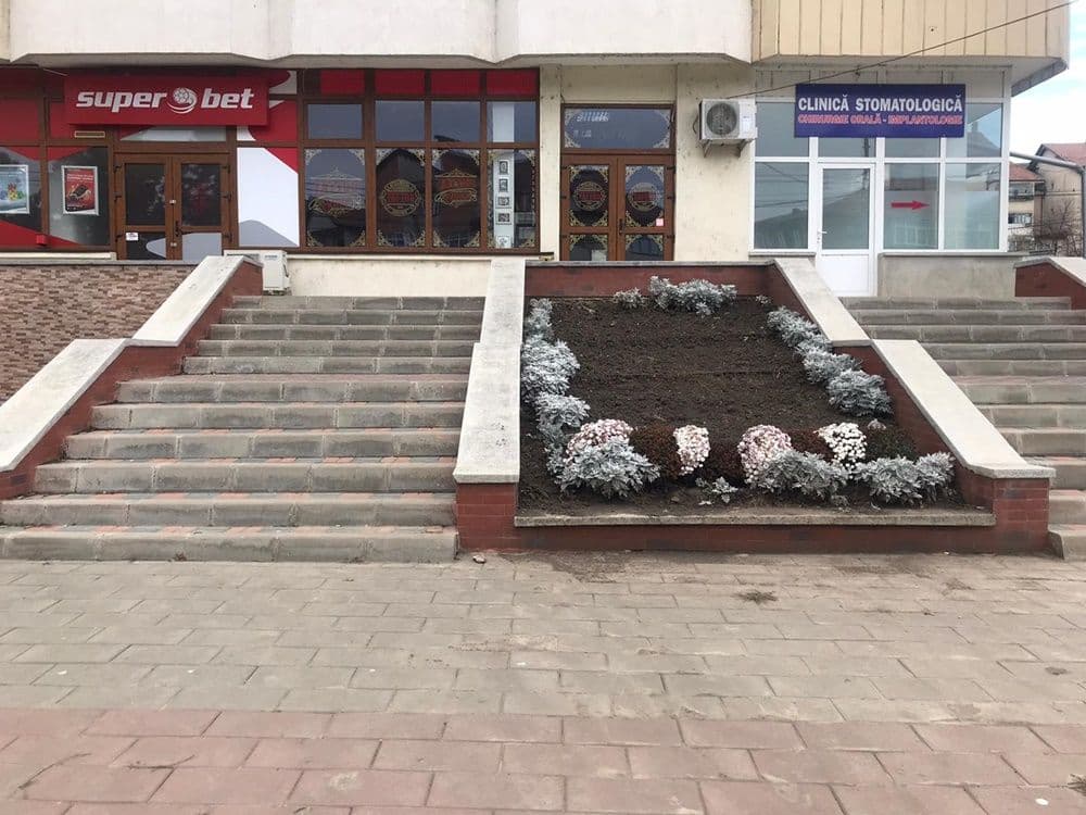 Tatoo Shop Dorohoi09