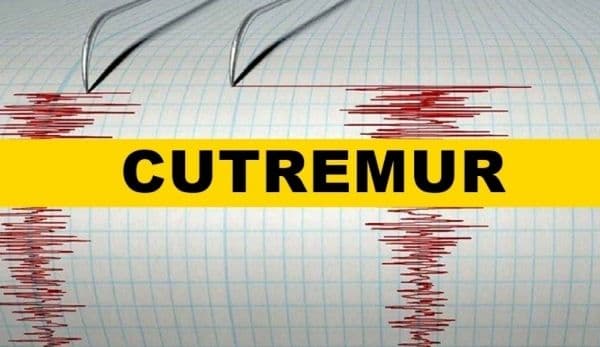 Cutremur în Vrancea în prima oră din 2020. Ce magnitudine a avut