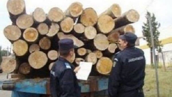 Amendă usturătoare și material lemnos pe care îi transporta fără acte confiscat