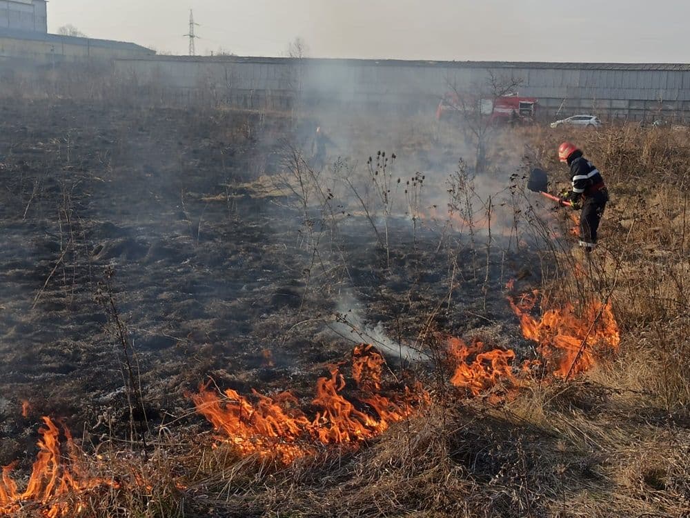 Incendiu de vegetație la marginea Botoșaniului. Focul a ajuns la casele din apropiere și lângă un fost depozit - FOTO
