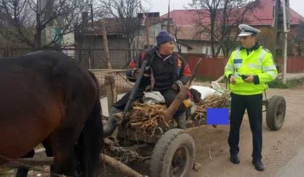 Căruțașii din patru comune amendați de polițiști