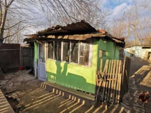 Povestea cutremurătoare a doi copii abandonaţi, care trăiesc cu străbunicii într-o baracă la marginea Dorohoiului - FOTO