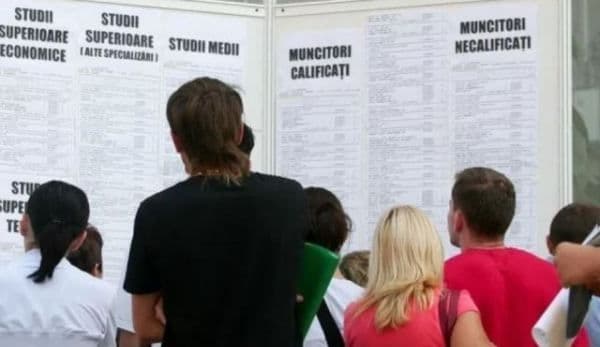 373 persoane angajate în luna ianuarie prin intermediul AJOFM BOTOȘANI