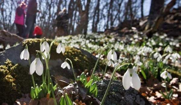 Vremea se încălzeşte în weekend. Cum va fi prima săptămână din martie!