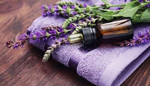 Proprietăți terapeutice pe care le deține lavanda