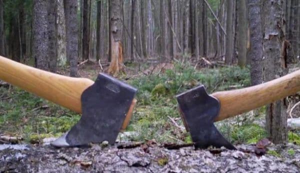 Percheziţie la locuinţa unui bărbat din comuna Vorniceni, cercetat pentru furt și tăiere fără drept de arbori 