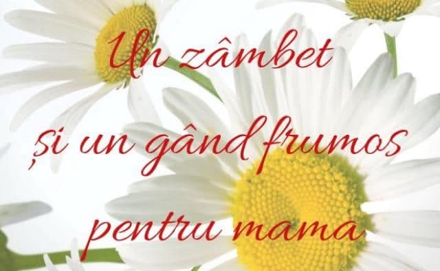 Dorohoi: Un zâmbet și un gând frumos pentru mama - ediția a XVII-a