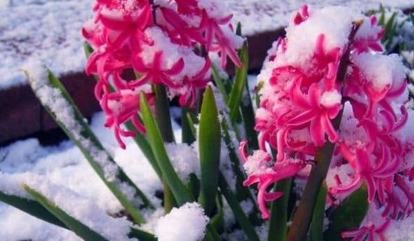 Un val de frig loveşte România. Când se întoarce vremea rea, în ce regiuni sunt aşteptate ninsori
