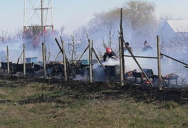 Peste 30 de stupi de albine distruși de un incendiu scăpat de sub control