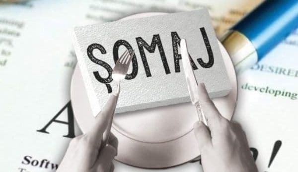 Președintele ANOFM atrage atenția asupra principalei greșeli pe care o fac angajatorii când depun cereri pentru șomaj tehnic