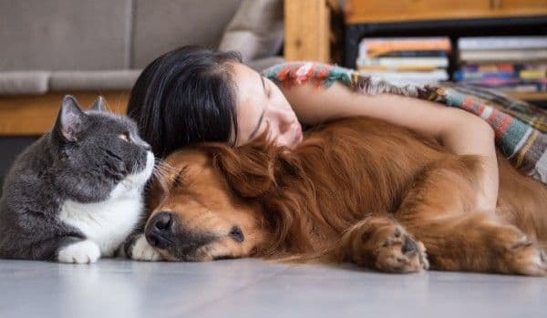 Se pot infecta pisicile şi câinii cu noul coronavirus? Ce au descoperit oamenii de ştiinţă