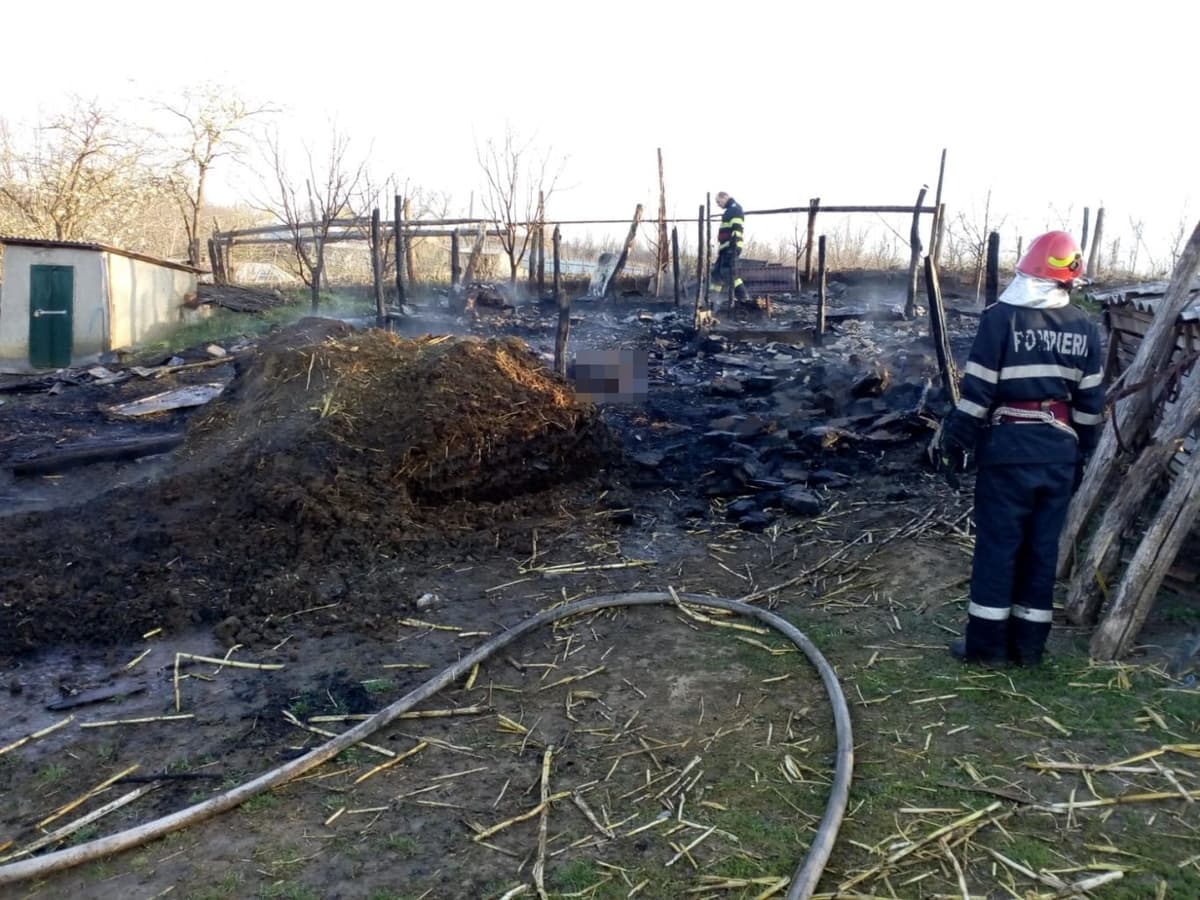 Foc devastator la Corlăteni! Adăpost cu 22 de animale mistuit de flăcări - FOTO