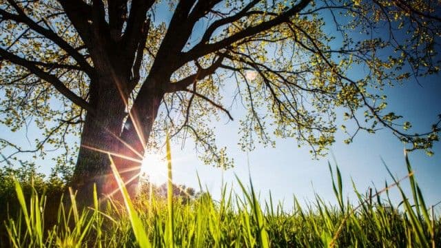 Vremea se încălzește în toată țara, vineri. Prognoza meteo pentru zilele următoare