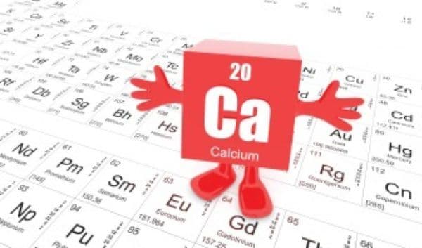 Modalități naturale de a spori calciul din organism