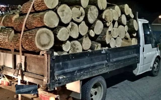 Lemne confiscate și șofer amendat la Mihăileni
