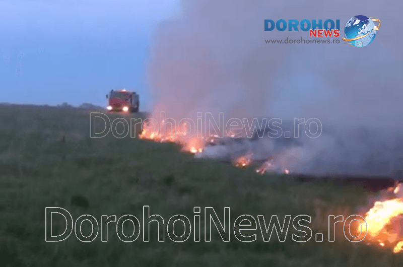 Incendiu de vegetație izbucnit la marginea municipiului Dorohoi - FOTO