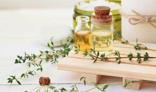 Cimbru și mierea de mare ajutor în problemele respiratorii