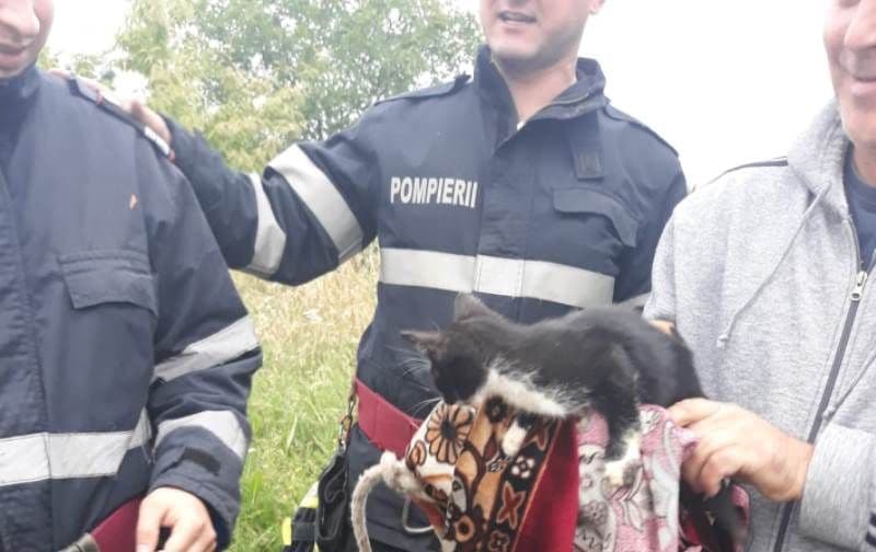 Pisică salvată de pompierii din Dorohoi după ce a căzut într-o fântână adâncă de 13 metri – FOTO