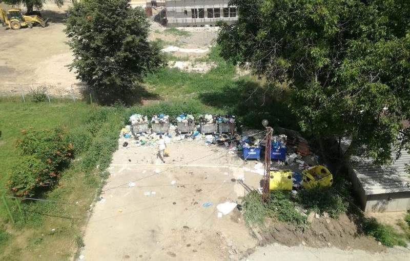 Primim la redacție – Gunoiul este împrăștiat de câini, ciori și vânt în Doja - FOTO