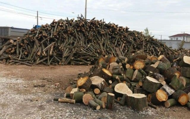 Material lemnos confiscat de la o societate din comuna Mihai Eminescu 