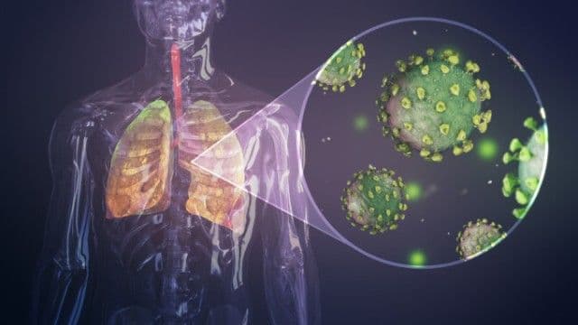 Majoritatea pacienţilor vindecaţi de Covid-19 rămân cu probleme cardiovasculare. Ultimele studii arată că virusul afectează inima