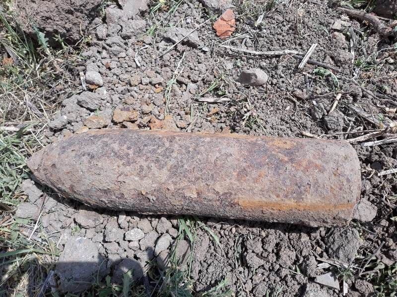 Descoperire periculoasă în curtea unui localnic din Ungureni - FOTO
