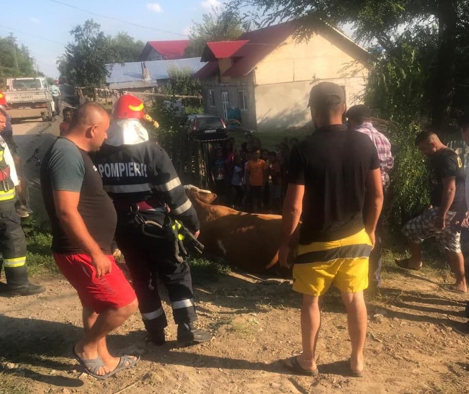 Intervenţie cu „greutate” a pompierilor din Dorohoi - FOTO