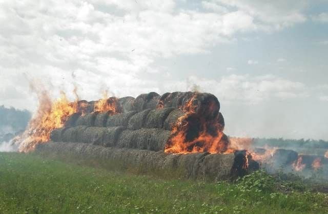 Zeci de tone de furaje mistuite de flăcări din cauza unui foc nesupravegheat - FOTO