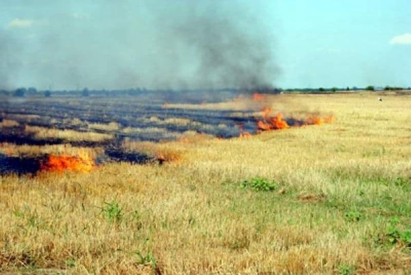 Bătrân din Suharău găsit carbonizat pe câmp
