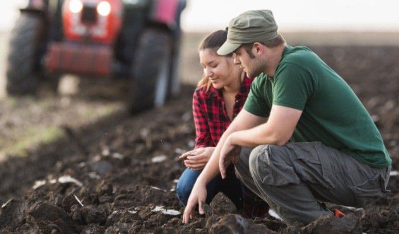 Tinerii fermieri vor putea concesiona de la stat 50 de hectare de teren