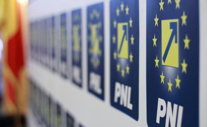 Doina Federovici și liderii PSD nu sunt în stare să vină cu propriul program pentru Botoșani !