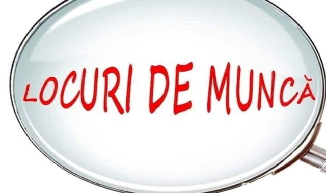 869 locuri de muncă puse la dispoziție de agenți economici în județul Botoșani în această săptămână