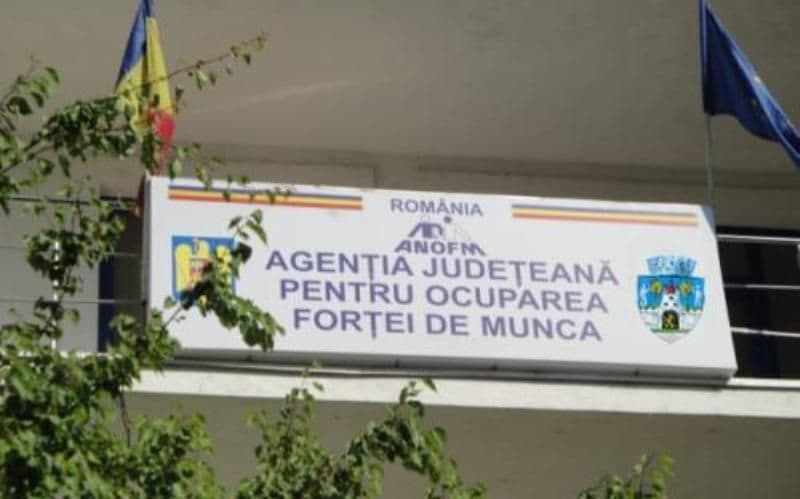 Întreprinderile sociale pot obține atestatul de întreprindere socială de la AJOFM Botoșani